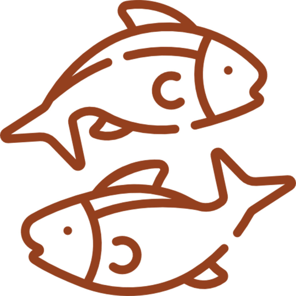 Two fish icon